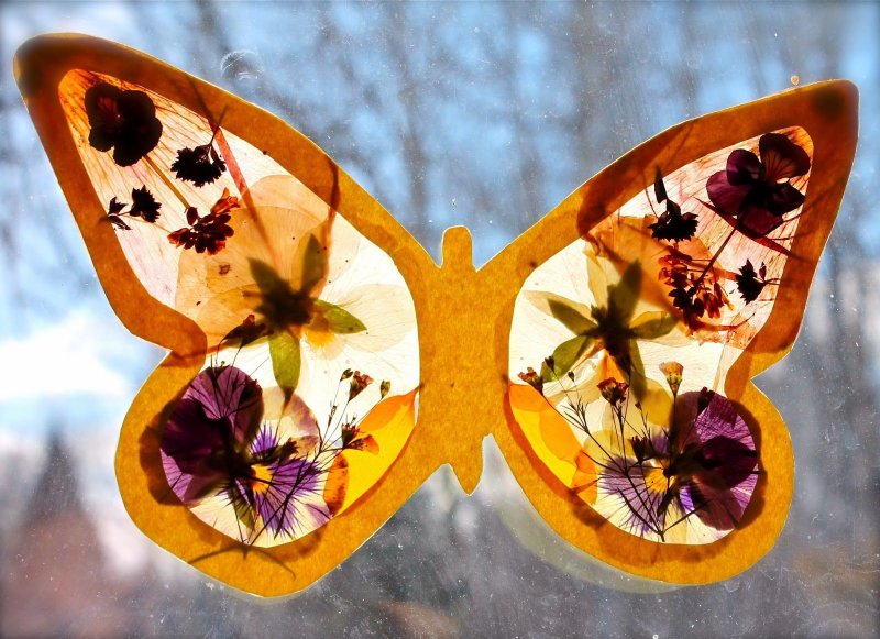 Поделка бабочка из природного материала