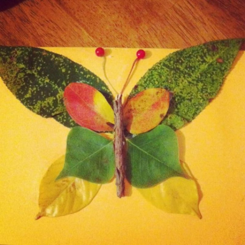 Поделка бабочка из листочков