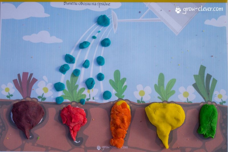 Овощи на грядках для детского сада