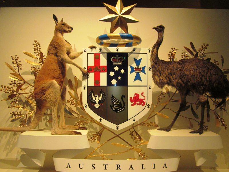 Герб Австралии 1908