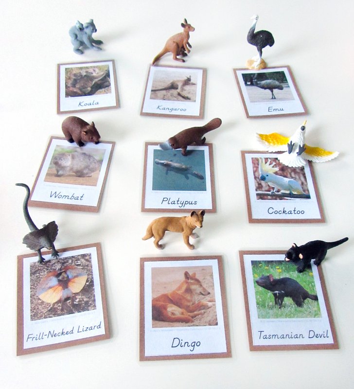 Карточки Монтессори материки мира и животные