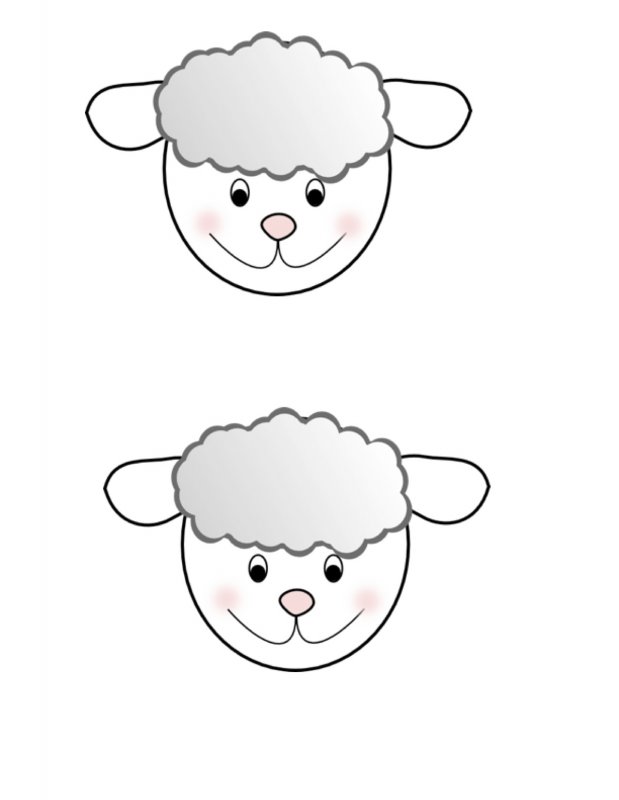 Мордочка овечки
