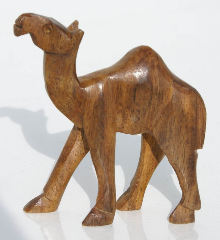 Верблюд сувенир из Туниса
