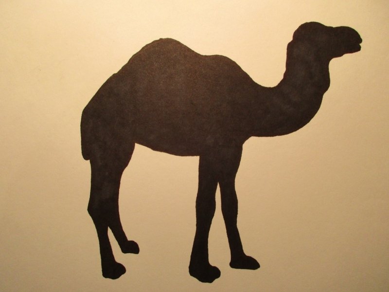 Верблюд рисование для детей