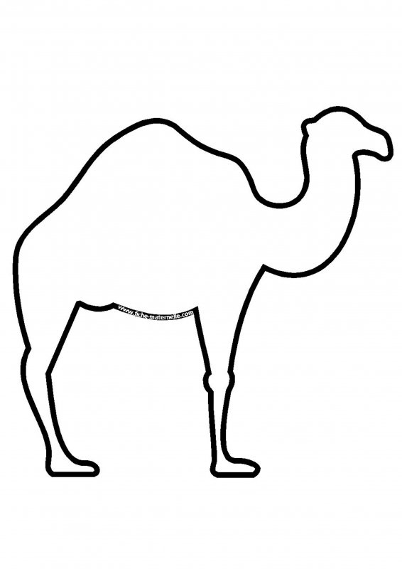 Скульптура верблюда кэмэл