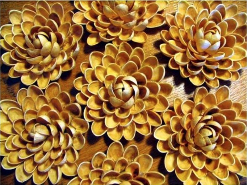 Цветы из фисташковых скорлупок