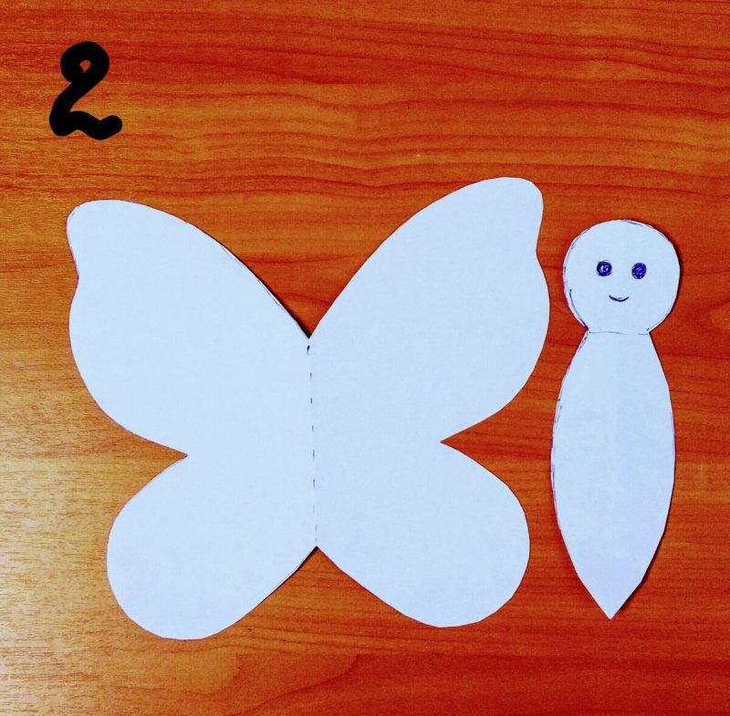 Поделка бабочка