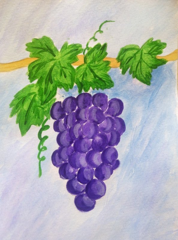 Рисование виноград средняя группа