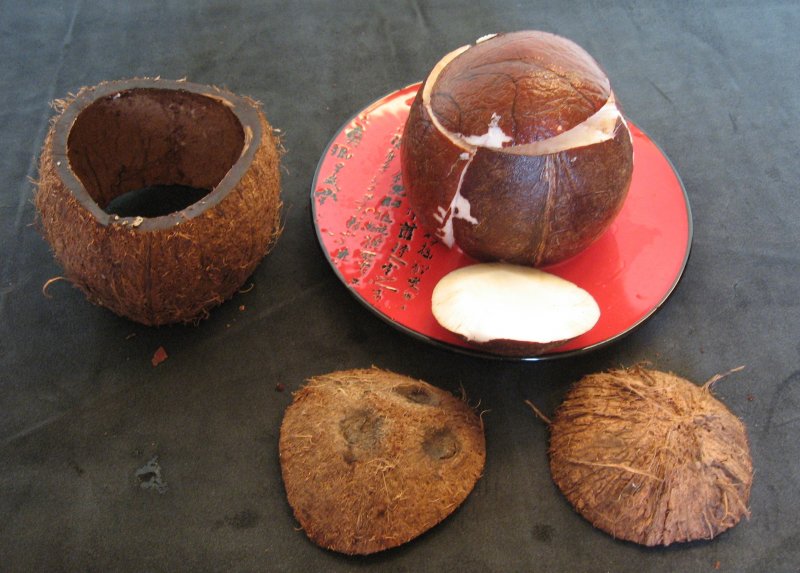 Подставка из кокоса