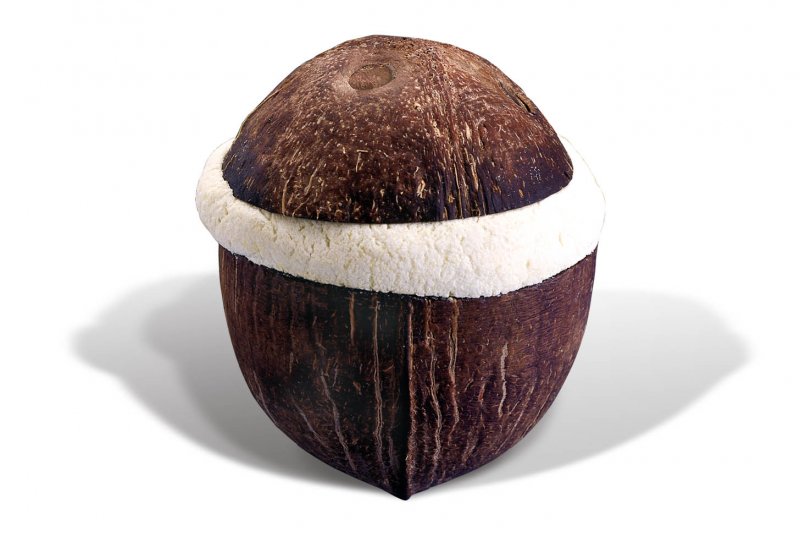 Кормушка из кокоса