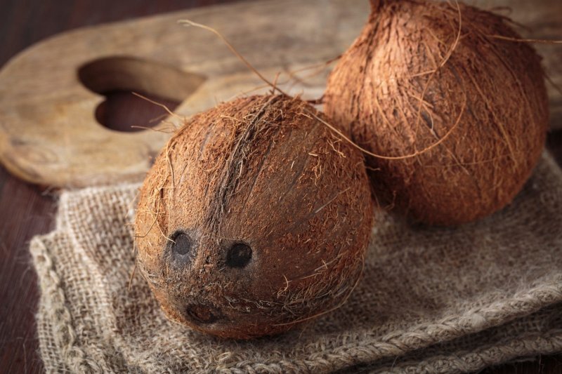 Копра орехов кокосовой пальмы