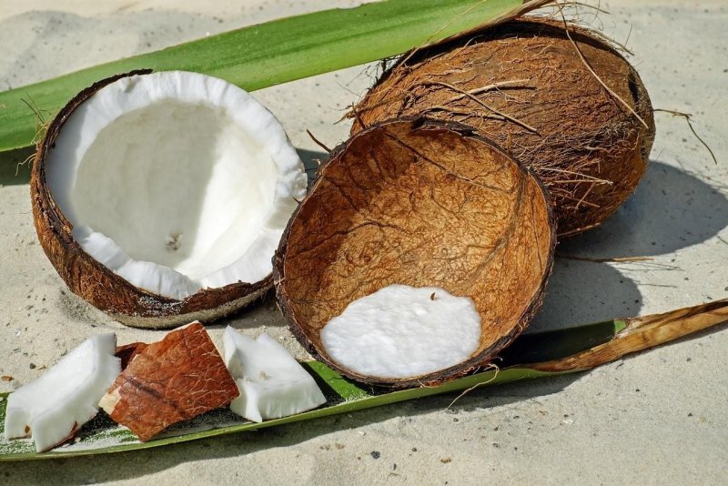 Скорлупа кокосового ореха