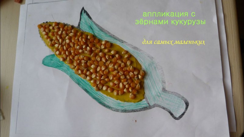 Аппликации из зерен кукурузы
