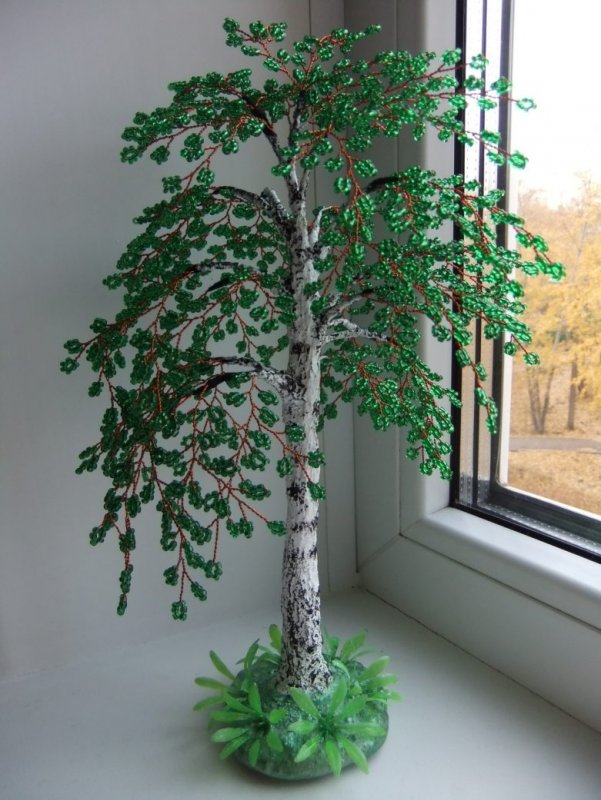 Бисерное дерево береза