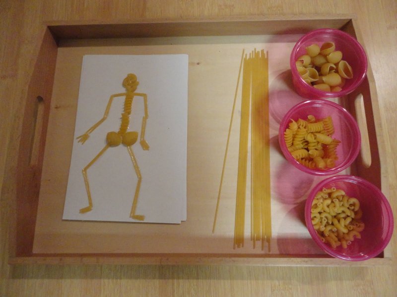 Скелет из макарон для детей