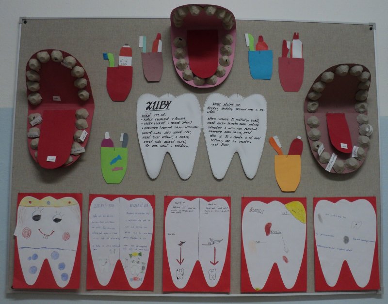Макет зубов для детей
