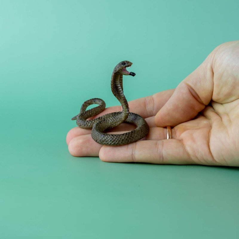 Поделка в детский сад змею из ореха