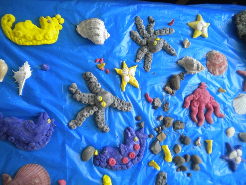 Коллаж морские обитатели в детском саду