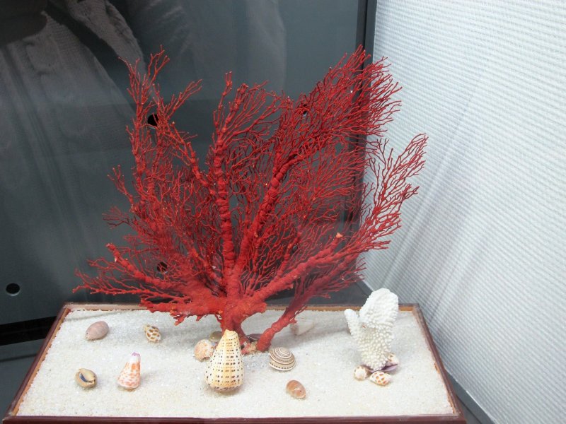 Кораллы из карамели