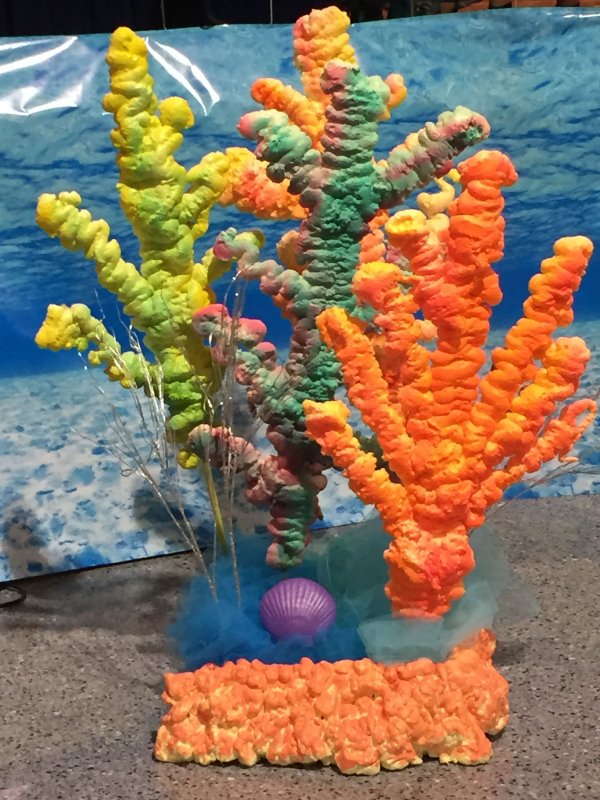 Кораллы из пластилина