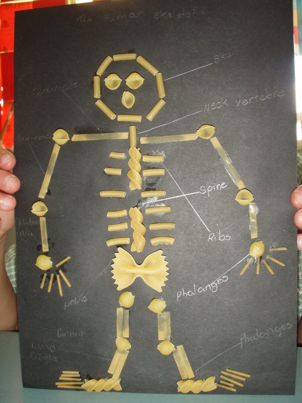 Поделка скелет из макарон