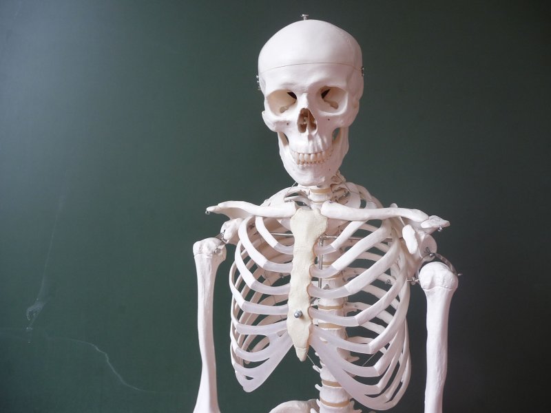 Скелет человека на 3д принтере