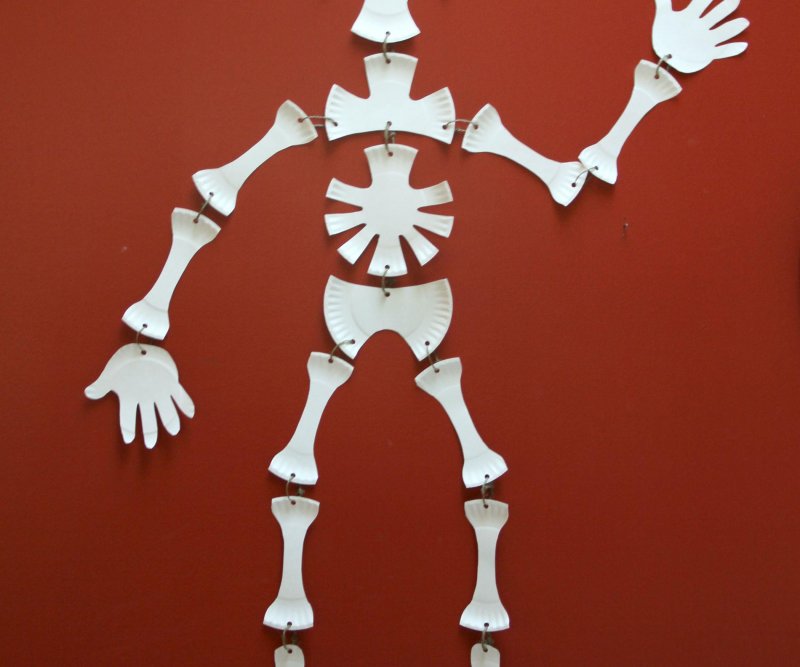 Поделка скелет