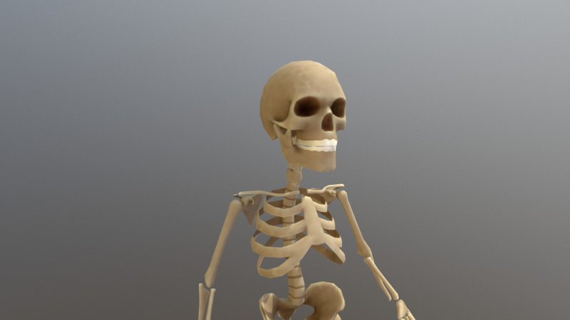Человеческий скелет