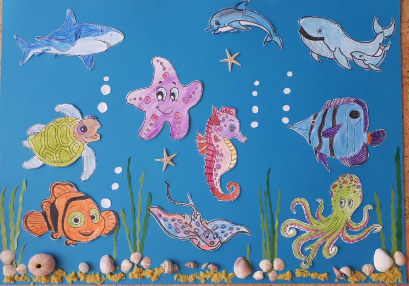 Рисование морские обитатели для детского сада