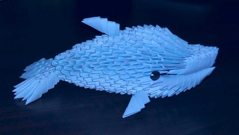 Акула из пластилина для детей