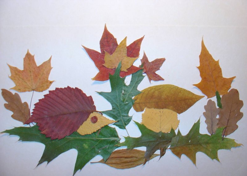 Осенние листья из фоамирана