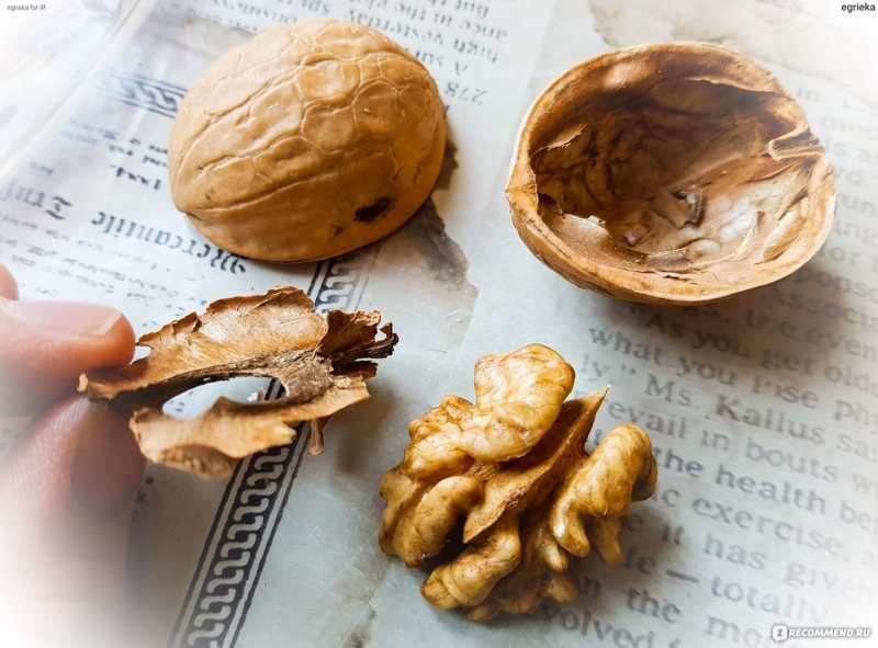 Серьги из скорлупы грецкого ореха