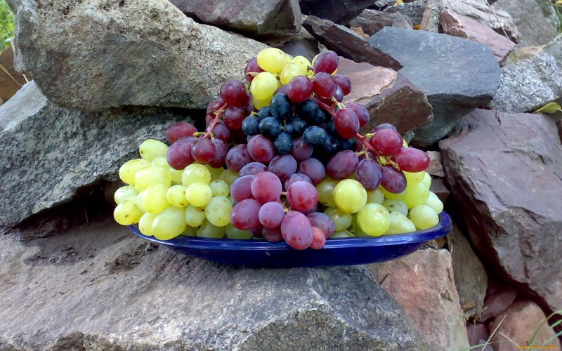 Бисероплетение виноград