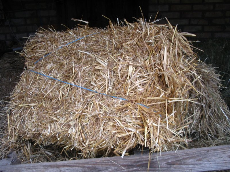 Солома пшеничная тюк (10-12 кг)