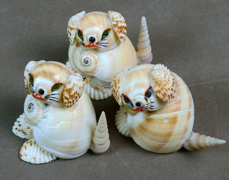 Сувениры из морских ракушек