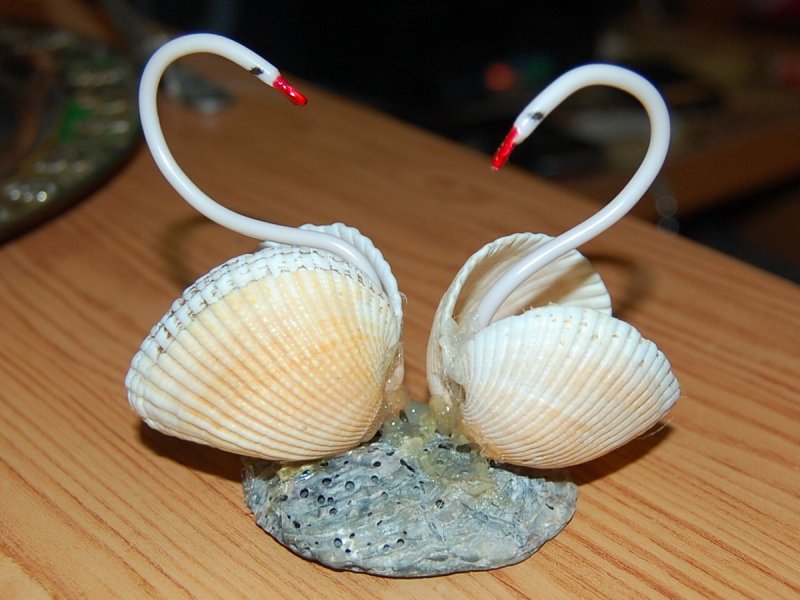 Декор из морских ракушек