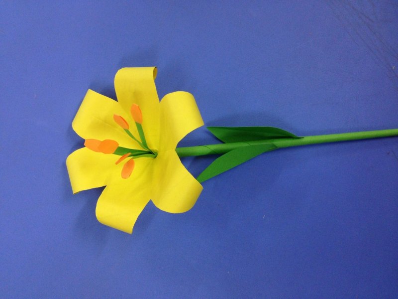 Модель цветка из бумаги