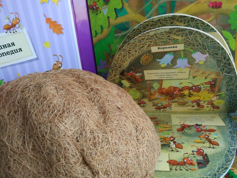 Муравейник декорация в детском саду