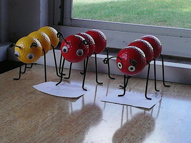Макет насекомые для детского сада