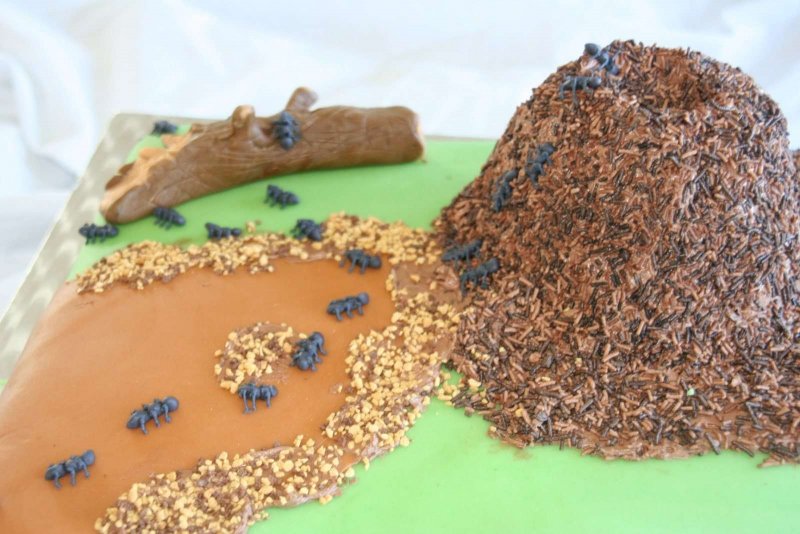 Торт Муравейник с муравьями