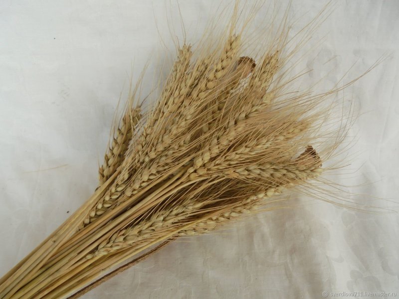 Букет "пшеница"