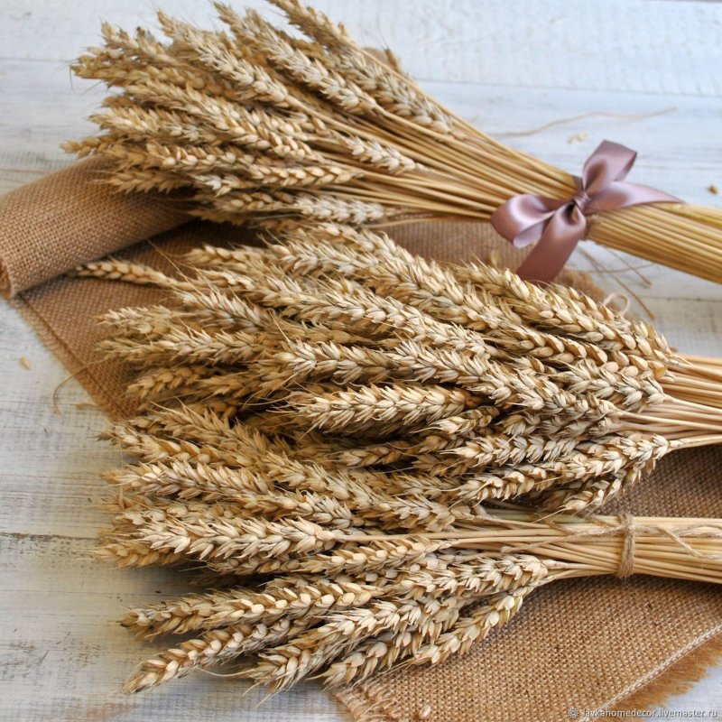 Лагурус и пшеница букет