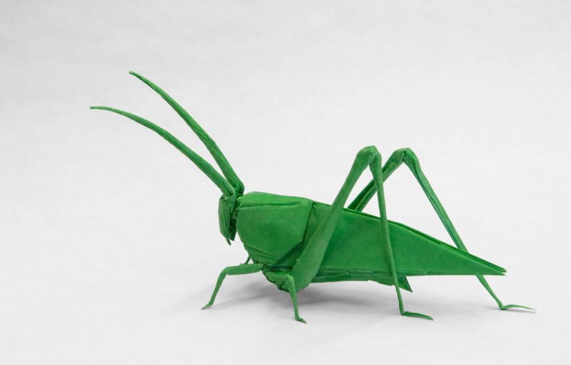 Оригами насекомые для детей