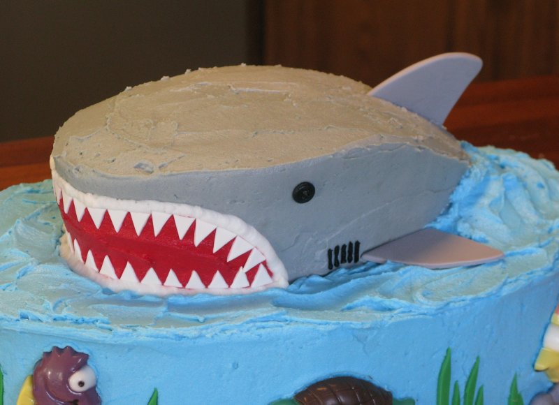 Торт в форме акулы