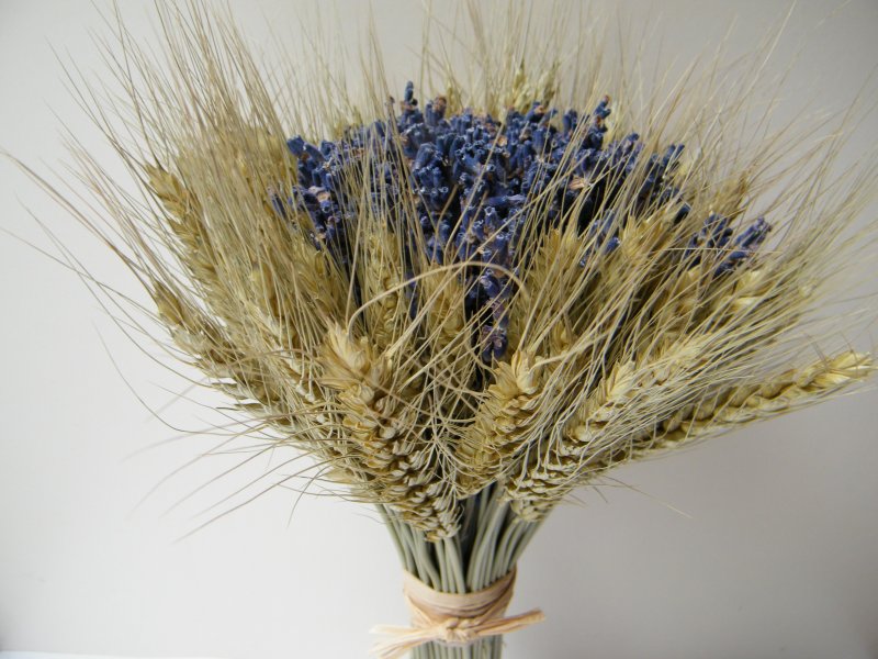 Украшение клумбы колосками пшеницы
