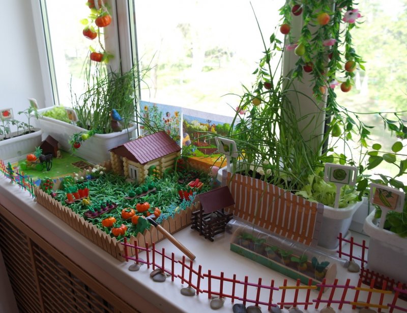 Огород на окне в детском саду средняя
