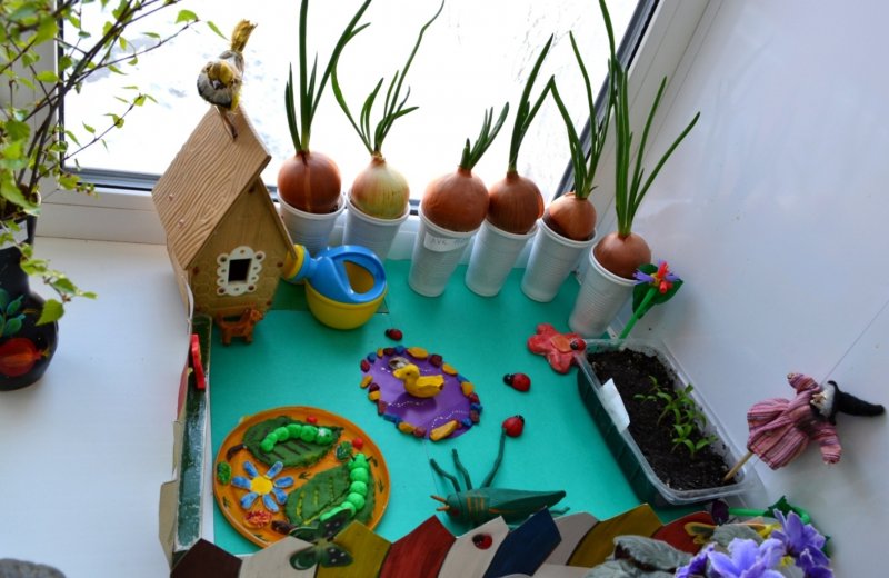 Огород на подоконнике в детском саду