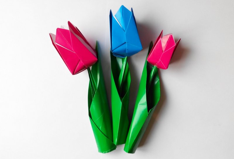 Оригами цветок тюльпан