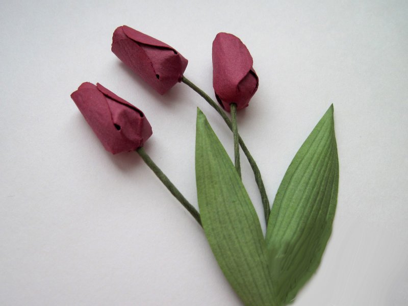 Объемные тюльпаны из гофрированной бумаги