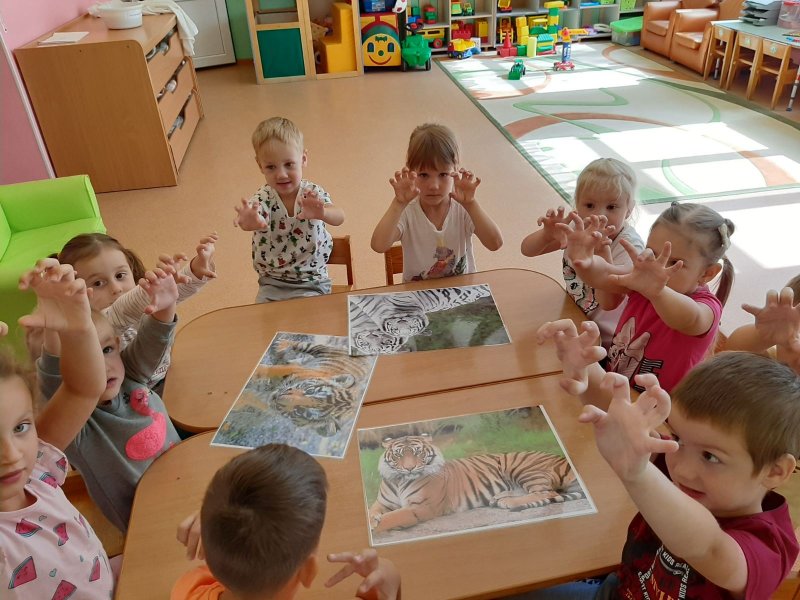 День тигра в детском саду для младшей группы